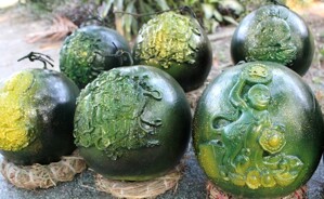 Những tạo hình dưa hấu "độc, lạ" trên thị trường quà Tết năm nay