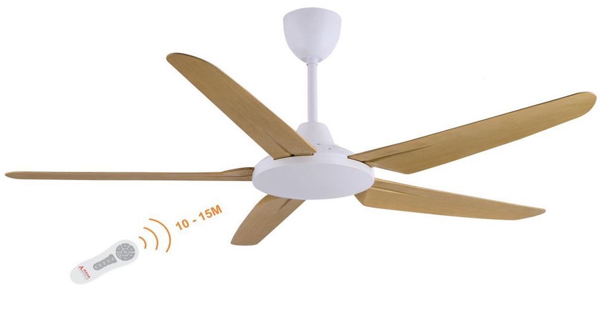 Những thông tin về quạt trần Asia mà bạn nên biết