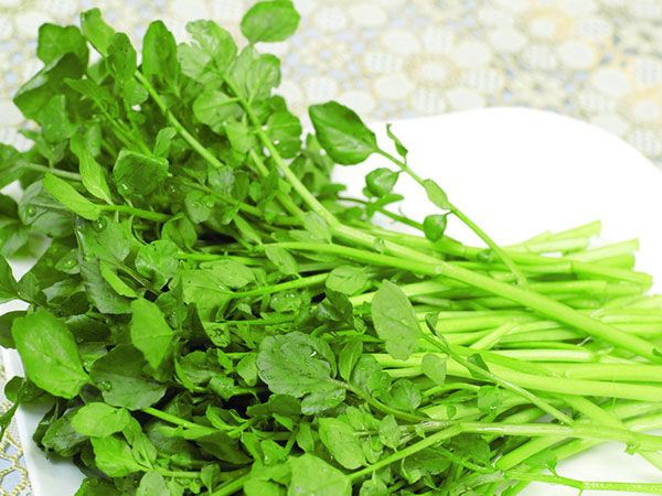 Những thực phẩm cực tốt cho hệ tiêu hóa của trẻ