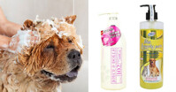 Những thương hiệu sữa tắm cho chó cảnh thơm lâu nhất