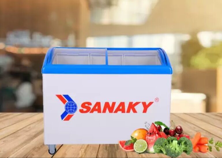 Tủ đông lạnh Sanaky VH 402KW