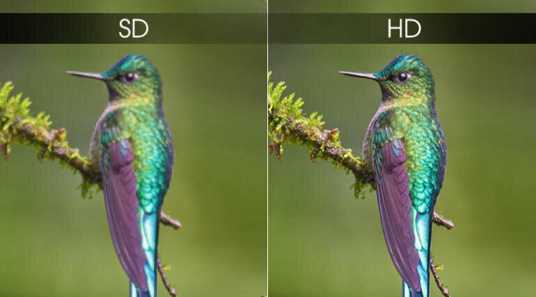Độ phân giải HD mang đến hình ảnh sắc nét