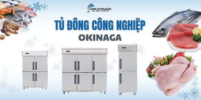 Sự khác biệt giữa tủ đông công nghiệp và tủ đông dân dụng như thế nào?