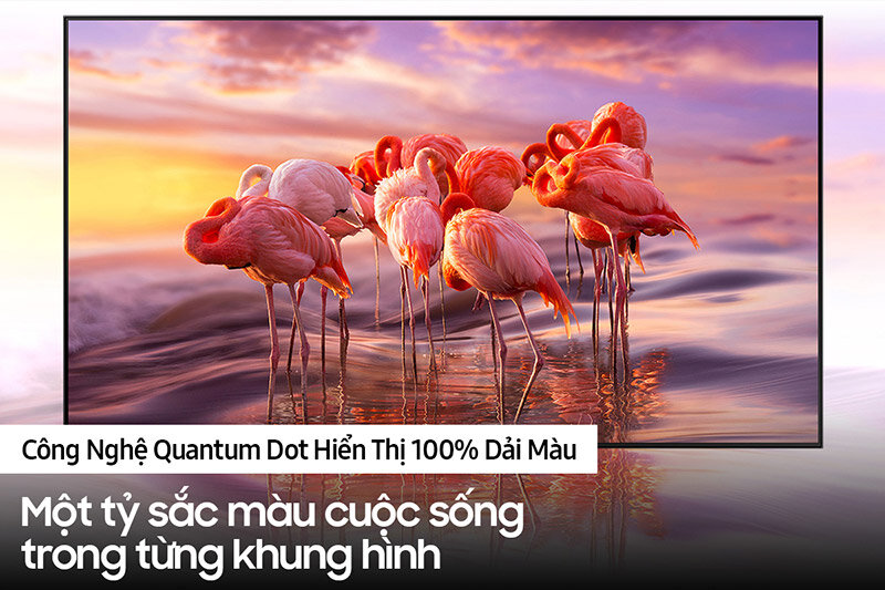 Tivi Samsung QA55Q65A - Giá trị hấp dẫn so với chi phí đầu tư