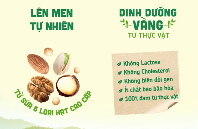 Sữa được lên men tự nhiên, đạt tiêu chuẩn chất lượng