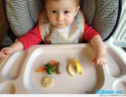 Phương pháp ăn dặm cho " bé tự chỉ huy " BLW-Baby Led Weaning