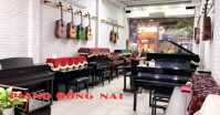 Piano Đồng Nai – Chuyên cung cấp các loại nhạc cụ chất lượng cao