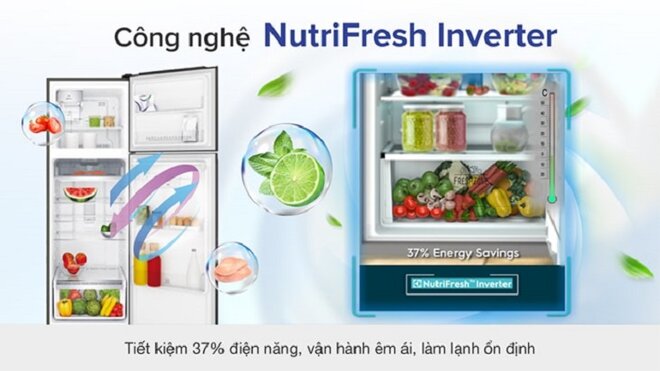 Tủ lạnh Electrolux 230 lít