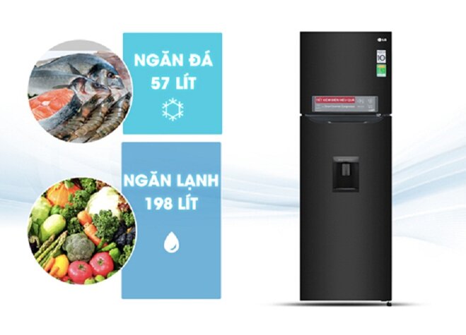 Tủ lạnh LG D255BL