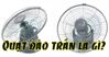 Quạt đảo trần là gì? Ưu nhược điểm ra sao? Nên mua của hãng nào?
