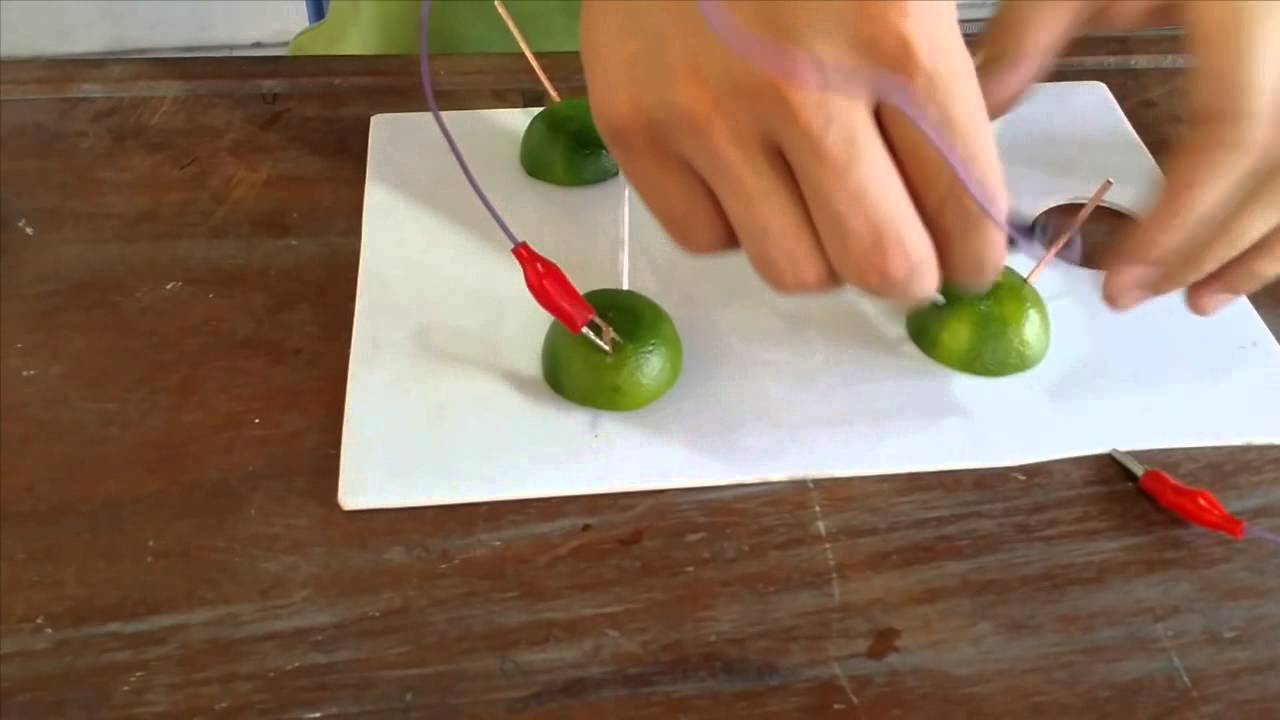 Thử nghiệm cách chế tạo pin từ hoa quả