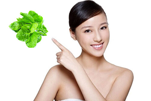 Rau mồng tơi có thể chữa được bệnh trĩ