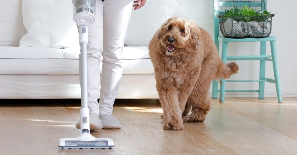 Review 3 máy hút bụi không dây Panasonic đáng “đồng tiền bát gạo” nhất 2022