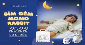 Review bỉm Momo Rabbit Eco Comfort Fit mới chi tiết từ A-Z