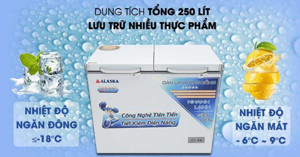Review chi tiết: Tủ đông Alaska 250L BCD-3068C có tốt không?