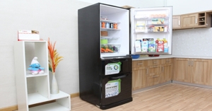 Review nhanh tủ lạnh 3 cánh Mitsubishi MR-C46G-ST-V ngăn đá dưới 370 Lít