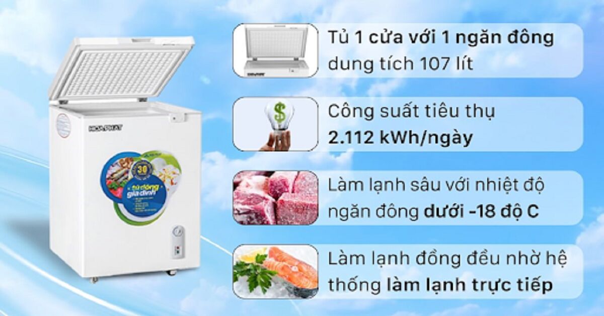 Review tủ đông Hòa Phát 1 ngăn 107 lít Hcf 106đsh từ A đến Z