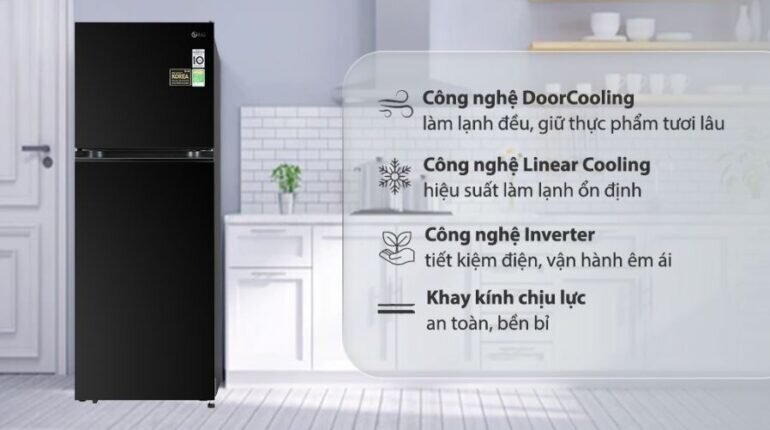 Tủ lạnh LG 315 Lít GN-M312BL Inverter