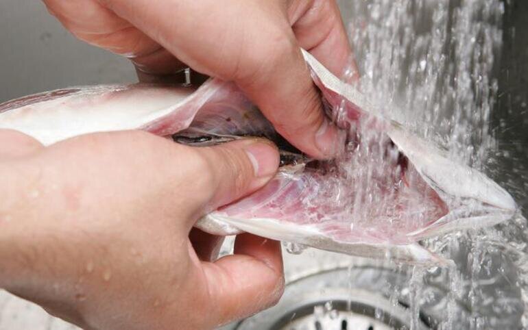 Trước khi bảo quản cá trong tủ lạnh LG GR-D305MC bạn nên rửa thật sạch