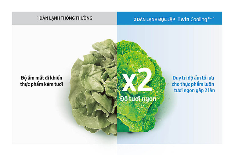 Tủ lạnh Samsung Twin Cooling Plus giúp bảo quản thực phẩm tươi ngon gấp 2 lần
