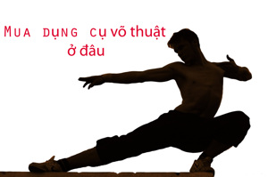 Siêu Thị Võ Thuật Việt Nam – địa chỉ bán sản phẩm võ thuật uy tín