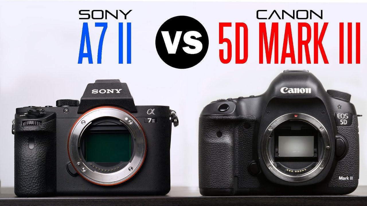 So sánh cảm biến hình ảnh của Sony A7 II và Canon 5D Mark III