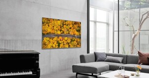 Smart Tivi Coex 4K 55 inch 55UT7000X: Đáng cân nhắc trong phân khúc giá!