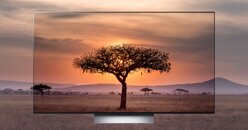 Smart Tivi OLED LG 55G2PSA: Thiết kế đỉnh cao, thanh lịch và thu hút ngay từ cái nhìn đầu tiên