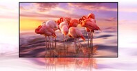 Smart Tivi QLED 4k 65 inch Samsung QA65Q65A - Liệu chất lượng có xứng đáng với giá tiền?
