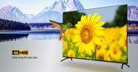 Smart Tivi Rindo R-65BU8600: Sự lựa chọn đáng tin cậy của nhiều gia đình Việt