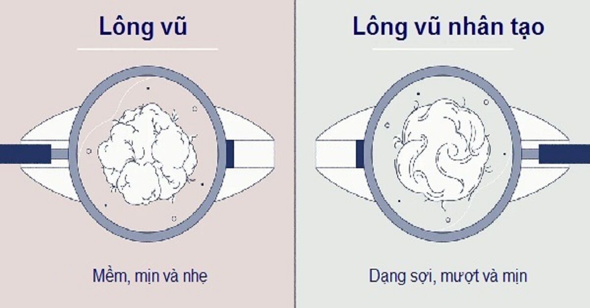 So sánh gối lông vũ nhân tạo và gối lông vũ tự nhiên