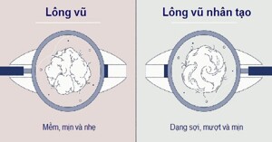 So sánh gối lông vũ nhân tạo và gối lông vũ tự nhiên