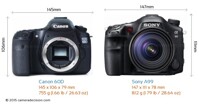 So sánh máy ảnh Canon EOS 60D và Sony A99