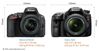 So sánh máy ảnh Sony A65 và Nikon D5500