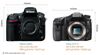 So sánh máy ảnh Sony A77 II và Nikon D810