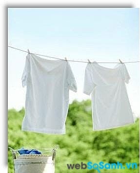 So sánh máy giặt Electrolux EWF10932 và LG WFD1617DD