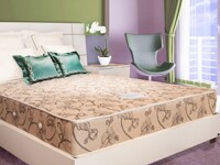 So sánh nên dùng đệm lò xo hay nệm bông ép nằm không nóng, đau lưng