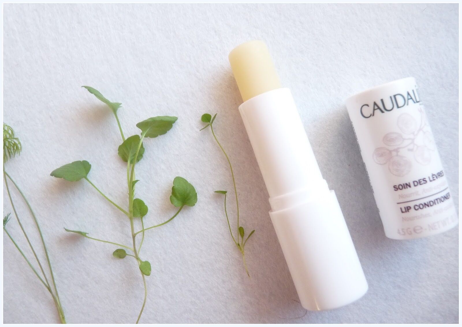 So sánh son dưỡng môi Caudalie Lip Conditioner và son trứng EOS Smooth Sphere Lip Balm