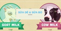 So sánh: Sữa dê hay sữa bò tốt hơn, nên mua loại nào?