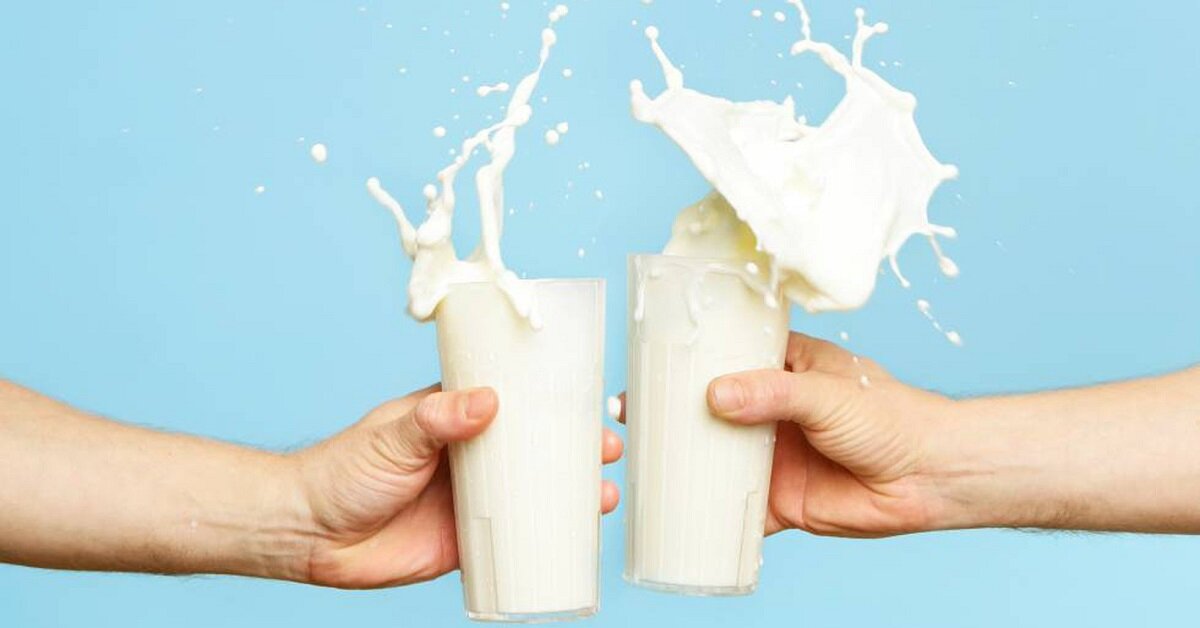 So sánh sữa lừa và sữa bò: Loại nào tốt?
