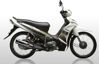 So sánh xe máy Honda Wave S và Yamaha Taurus