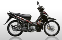 So sánh xe máy Yamaha Taurus và Honda Wave Alpha