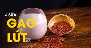 Sữa dành cho trẻ tự kỷ loại nào tốt nhất?