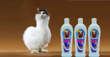 Sữa tắm cho mèo Fay của nước nào? Có tốt không?