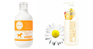 Sữa tắm dành cho chó con loại nào tốt nhất?