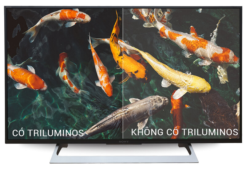 Tivi Sony 43X8000E và những giá trị vẫn ‘tỏa sáng’ trong năm 2025