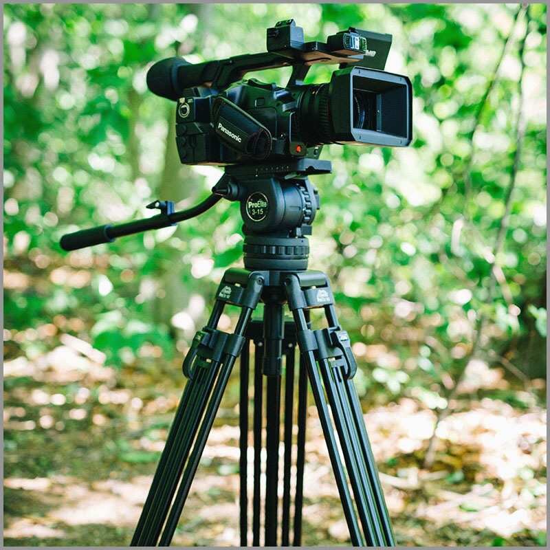 Nên Mua Chân Máy Ảnh Loại Nào Tốt: Benro, Coman, Gizomos, Manfrotto? |  Websosanh.Vn