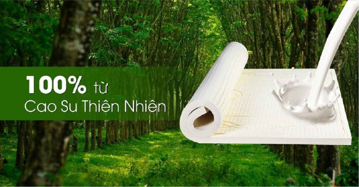 Tại sao nên chọn mua đệm cao su thiên nhiên thiên nhiên? Mua của hãng sản xuất này tốt?