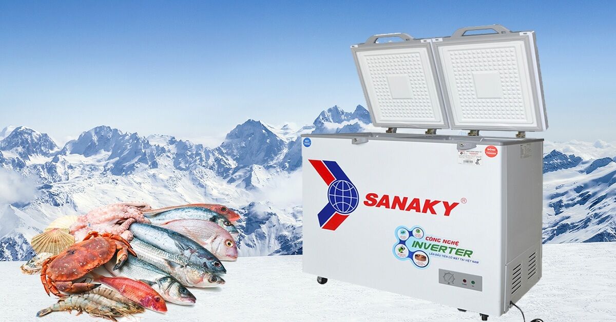 Tại sao nên mua tủ đông Sanaky Inverter 260L VH-3699W4K?