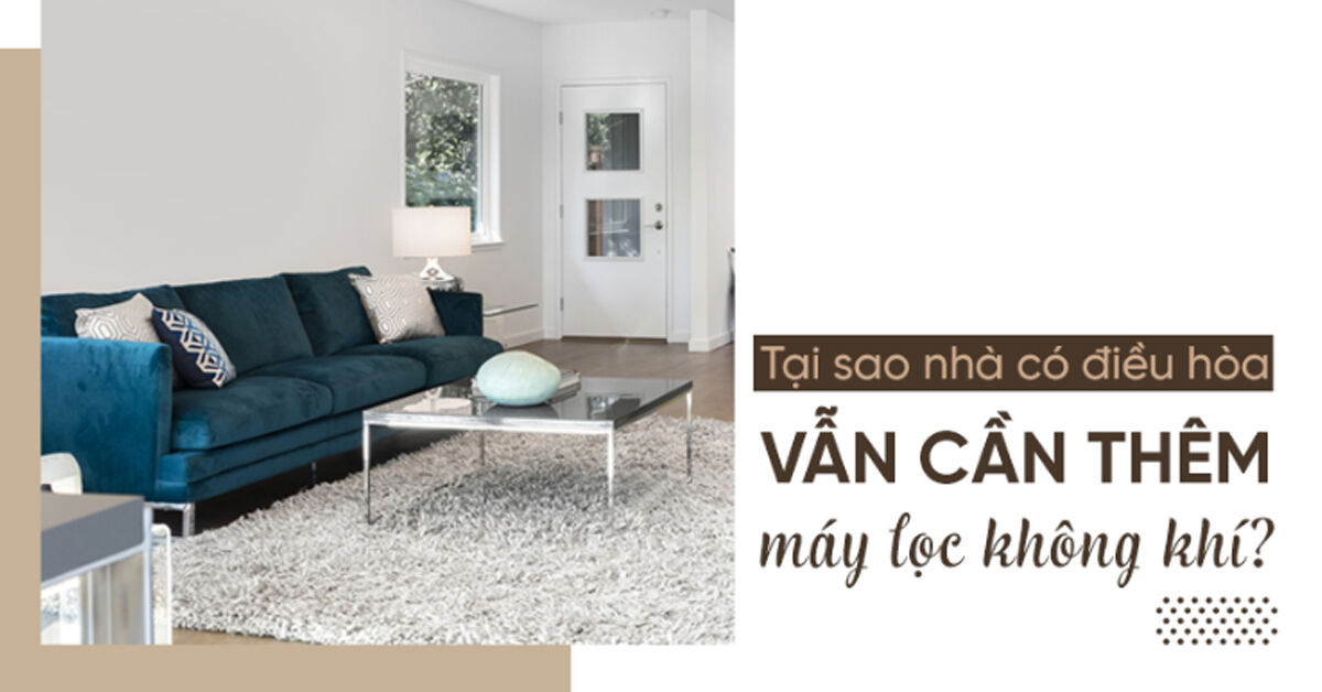 Tại sao nhà có điều hòa rồi vẫn nên mua thêm máy lọc không khí ?